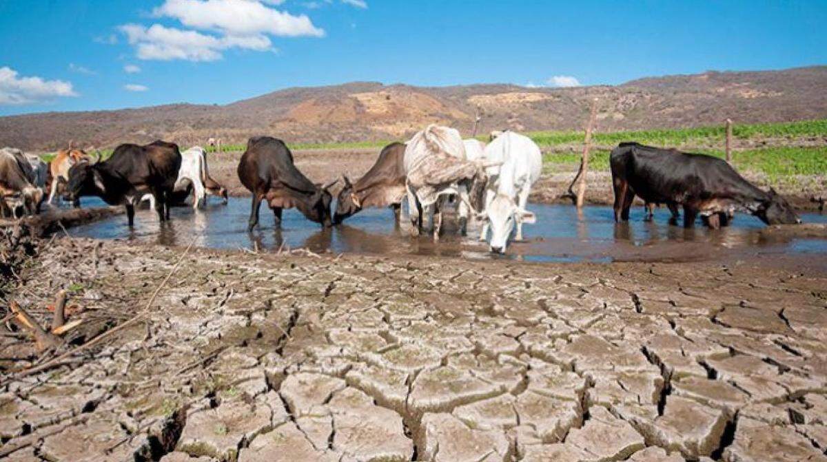 Colombia en alerta roja por fenómeno de el niño- acciones y pronósticos