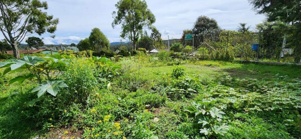 670 Familias de Medellín se beneficiarán del proyecto Huertas para el Autoconsumo 2