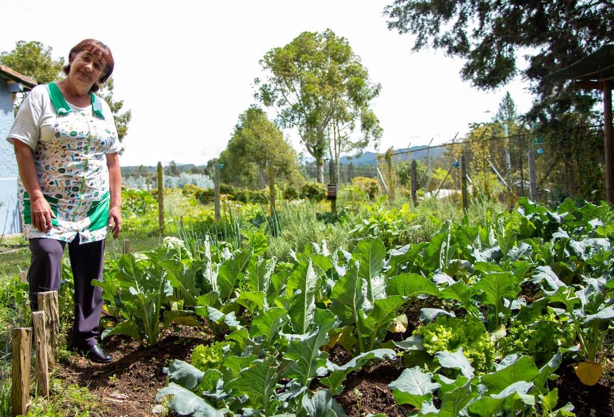 670 Familias de Medellín se beneficiarán del proyecto Huertas para el Autoconsumo