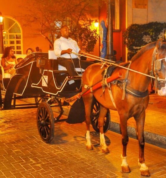 Cartagena se despide de los coches de caballos, en octubre inician la sustitución por vehículos eléctricos