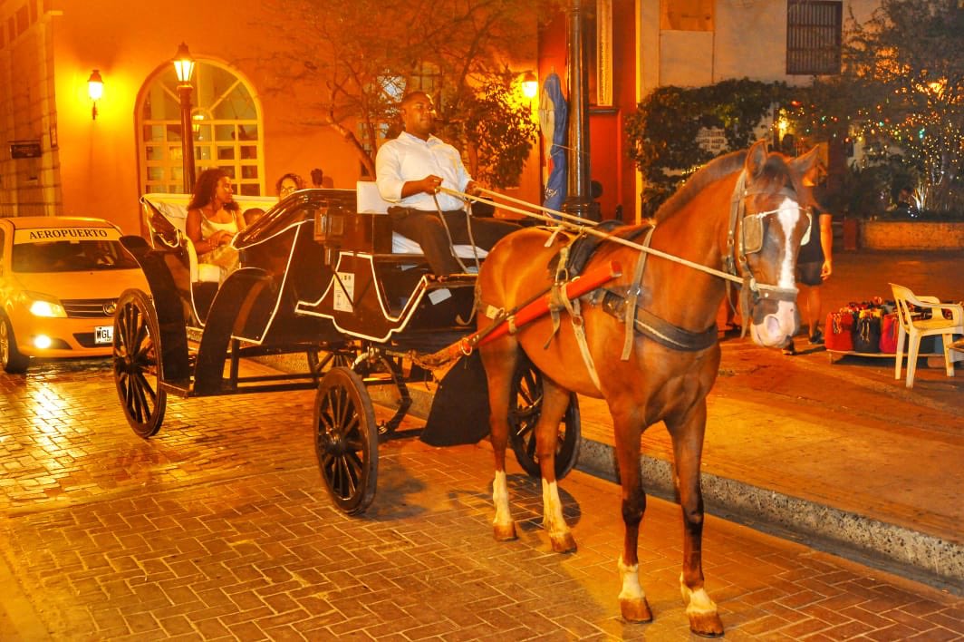Cartagena se despide de los coches de caballos, en octubre inician la sustitución por vehículos eléctricos