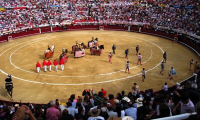 Colombia Dice adiós a las corridas de toros, Congreso aprueba prohibición histórica