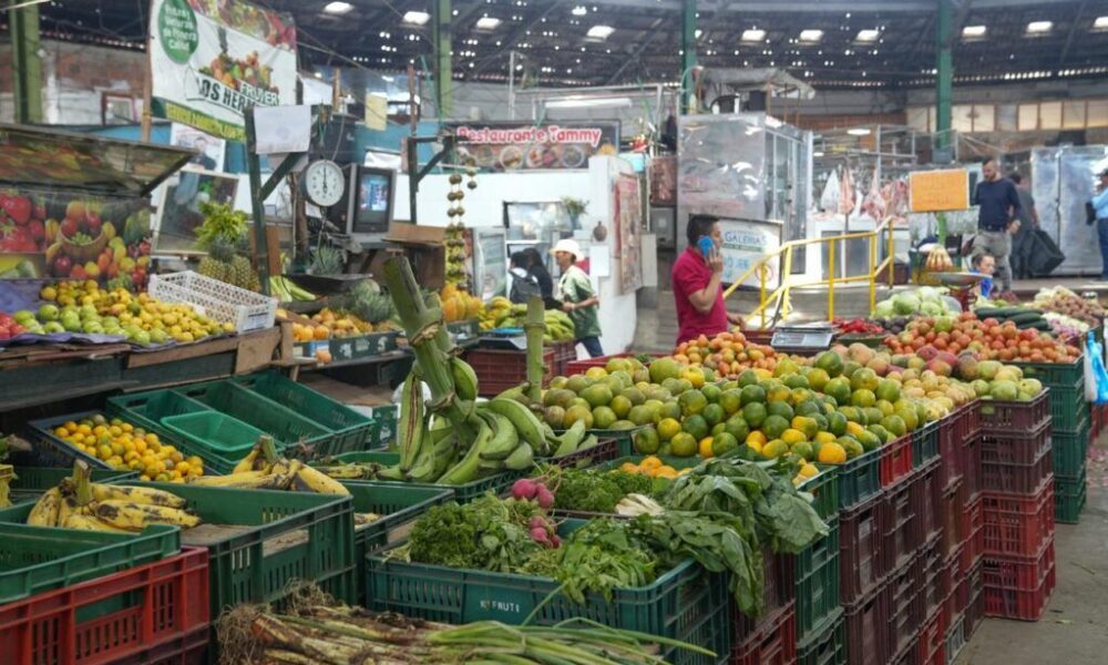 Colombia Desperdicia 9,7 Millones de Toneladas de Alimentos Cada Año