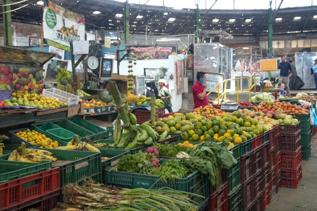 Colombia Desperdicia 9,7 Millones de Toneladas de Alimentos Cada Año