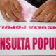 Consulta popular en cuenta regresiva Senado arranca discusión el 13 de mayo
